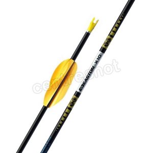 Easton X10 Arrows (with Spin Wings) x 12