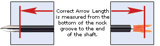 Correct Arrow Length is measured from the bottom of the nock groove to the end of the shaft.
